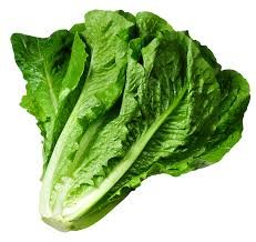 Lettuce