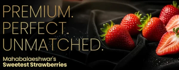 20251223120438Premium M Strawberry web story