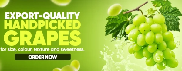 20260116122229Story Banner_1920_600