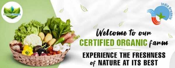 Screenshot 2026-01-25 002018