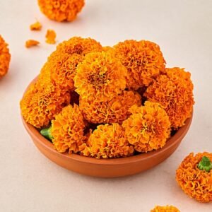 Merigold - Orange (100 gm)